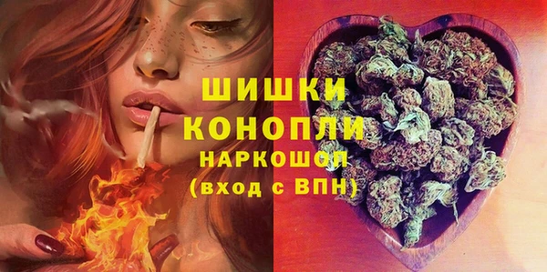 трава Арсеньев