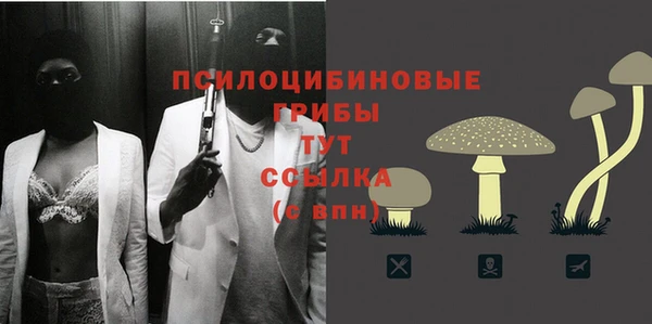 трава Арсеньев