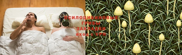 ECSTASY Аркадак