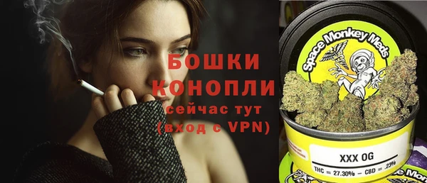 трава Арсеньев