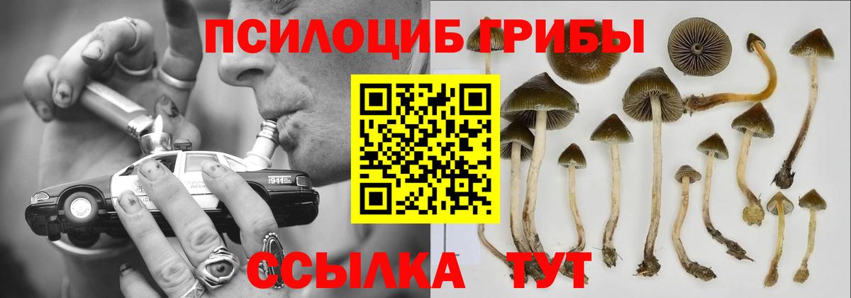 Псилоцибиновые грибы Magic Shrooms Тейково