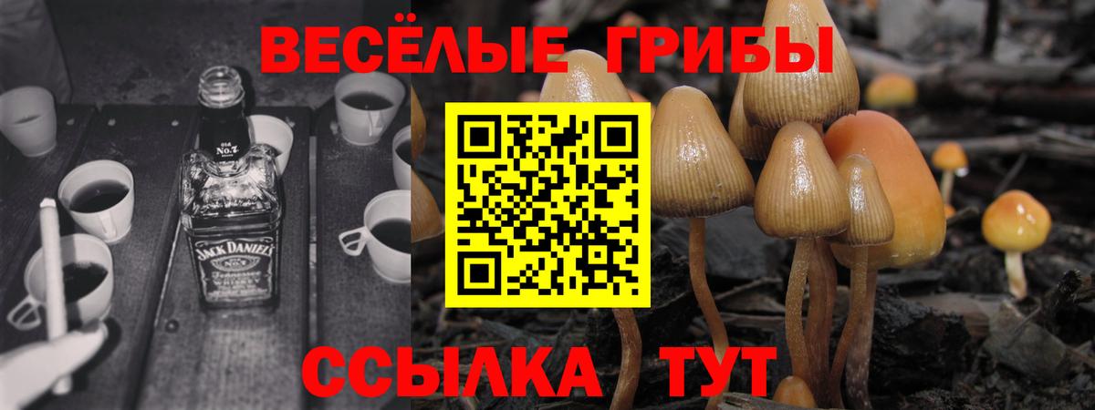 Псилоцибиновые грибы ЛСД  Вход с VPN  Тейково 